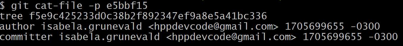 Pasted image 20240119183400.png