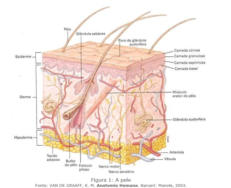 Pasted image 20230725221825.png