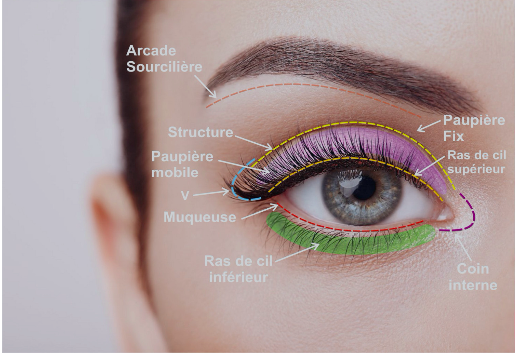 Pasted image 20230721000242.png